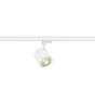 SLV Tracklight Enola C 3-Fazowy Aluminium Whit Okrągłae 11W 1040lm 55D - 830 Ciepła Biel