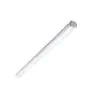 Philips Oprawy Hermetyczne LED WT060C 28W 3400lm - 840 Zimna Biel | 150cm