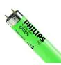 Philips MASTER TL-D 18W - Zielony | 60cm
