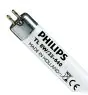 Philips T5 Short 8W - 640 Zimna Biel | 29cm