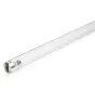 Philips T8 UV - C 25W - Ultrafioletowy | 44cm