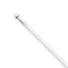 Philips Master Rura LED T8 (EM/Mains) High Output T8 7.6W 1150lm - 865 Światło Dzienne | 60cm - Zamienne 18W