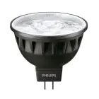 Philips Master LED Spot GU5.3 MR16 7.5W 520lm 36D - 940 Zimna Biel | Najlepsze renderowanie kolorów - Ściemnianie - Zamienne 50W